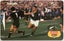 South African Rugby Tour - July 1994 Carousel 1