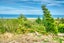 gallery view thumbnail