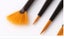 10 Pcs Art Painting Brushes Carousel 5