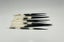 Thick Porcupine Quills 13-15cm Carousel 1