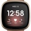 Fitbit Versa 3 Milanese Loop Strap Gold Carousel 3