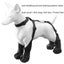 Elosung S Waterproof Non Slip Dog Shoes All Season Boots For Protection Anti Pet Carousel 4