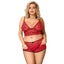 Women 3 Piece Floral Lace Bottom and Top Red Lingerie Set Carousel 4