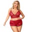 Women 3 Piece Floral Lace Bottom and Top Red Lingerie Set Carousel 5