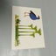 3D puzzle kiwi paradise pack of 2 Carousel 3