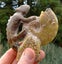 Large Cleonisceras AMMONITE, polished and carved (348g /app: 12cm diam).Super! Carousel 4