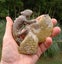 Large Cleonisceras AMMONITE, polished and carved (348g /app: 12cm diam).Super! Carousel 3