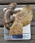 Large Cleonisceras AMMONITE, polished and carved (348g /app: 12cm diam).Super! Carousel 16