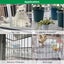 Plastic Chicken Wire Mesh Fence, Plastic Mesh Fencing 40cm x 5m Carousel 6