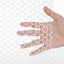 Plastic Chicken Wire Mesh Fence, Plastic Mesh Fencing 40cm x 5m Carousel 10