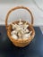 Elephant Garlic- Organically grown in Waikato Carousel 1