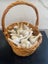Elephant Garlic- Organically grown in Waikato Carousel 3