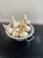 Elephant Garlic- Organically grown in Waikato Carousel 4