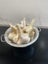 Elephant Garlic- Organically grown in Waikato Carousel 5