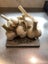 Elephant Garlic- Organically grown in Waikato Carousel 9