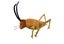 Wiremu the Weta Carousel 1