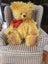 Robin Rive Limited edition Carol ... bear Carousel 1