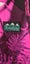 Ridgeline / Puma - NEW Carousel 7