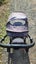 Mountain Buggy Cosmopolitan Carousel 5