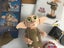 Lego 76421 Dobby the house elf (Harry Potter) Carousel 3