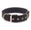 Dog Collar Comfortable Dog Collar High Quality Small size from 26cm to 36cm Carousel 7