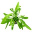 Loading Image 1 of 2