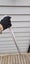 BUY 1 GET 1 FREE 50cm Bayonet Knife Dagger Outdoor Camping Hunting A COOL GIFT Carousel 8