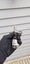 BUY 1 GET 1 FREE 50cm Bayonet Knife Dagger Outdoor Camping Hunting A COOL GIFT Carousel 15