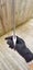 BUY 1 GET 1 FREE 50cm Bayonet Knife Dagger Outdoor Camping Hunting A COOL GIFT Carousel 18