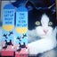 THE CATTAGE - Cute Funky Cat Unisex Novelty Socks Add Colour & Fun To Your Feet Carousel 1
