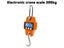 PTN NEW Crane Scales Sale Sale Carousel 4
