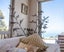 gallery view thumbnail