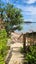 gallery view thumbnail