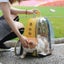 Transparent Pet Carrier Backpack for Cats,Dogs,Bunny (Travel&Outdoor Use) Carousel 2