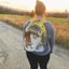 Transparent Pet Carrier Backpack for Cats,Dogs,Bunny (Travel&Outdoor Use) Carousel 3