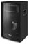 Disco PA Speaker - Passive 10 Inch Carousel 3
