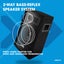 Disco PA Speaker - Passive 10 Inch Carousel 10