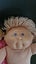 Cabbage Patch Dolls Carousel 5