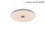 FREE SHIPPING, C109-Bluetooth Music LED Ceiling Light Carousel 3