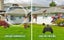 Pterodactyl Toys Drone Easy to Fly Dragon Remote Controlled Aircraft Flying Toys Carousel 4