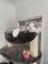 Brand New Cat Tree Part - Hammock - Grey Large Carousel 2