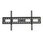 PTN Universal TV Wall Mount Stand Bracket - Sale Carousel 5