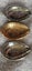 Vintage Charles and Diana 1981 Wedding Souvenir Spoons Carousel 4