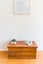 BEAUTIFUL SOLID WOOD RUSTIC STORAGE CHEST **GORGEOUS CHARACTER** Carousel 3