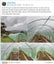 Garden Reinforced Polytunnel Shadehouse 12x3M Carousel 8