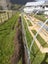 Garden Reinforced Polytunnel Shadehouse 12x3M Carousel 4