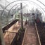 Tunnelhouse Greenhouse 10x3M Carousel 4