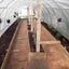 Tunnelhouse Greenhouse 10x3M Carousel 5