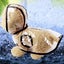 DOG Raincoat Transparent Waterproof Outdoor Dog Raincoat Pet raincoat range size Carousel 2