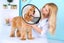Elizabeth Pet Protection Cover Elizabeth Pet Protection Shield Size XXXL (# 0) Carousel 1